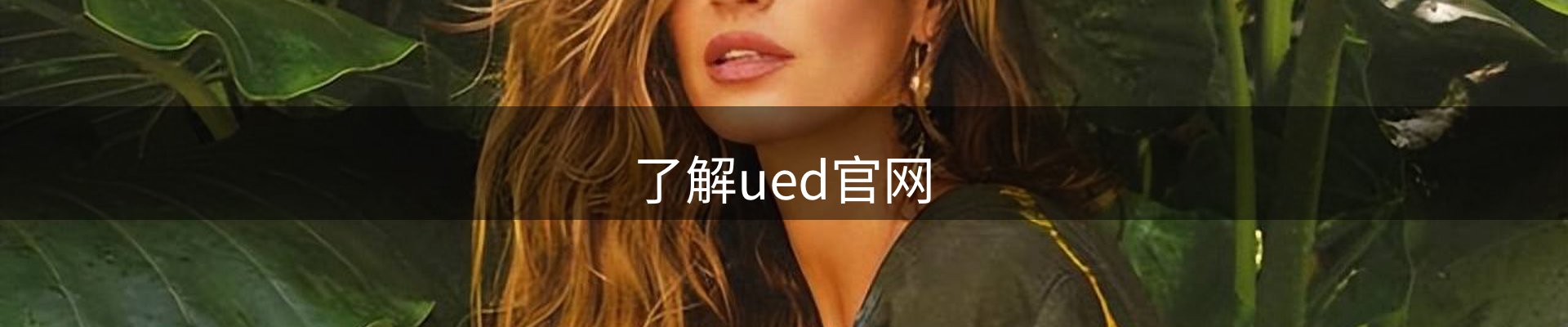 了解ued官网